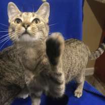 Thumbnail photo of Tami #1