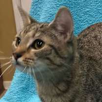 Thumbnail photo of Tami #3
