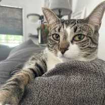 Thumbnail photo of Jammi Lou #1