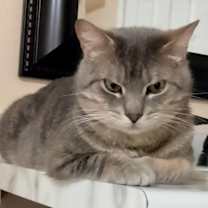 Thumbnail photo of Mickey #2