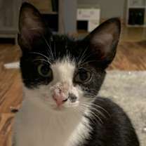 Thumbnail photo of Michael #2