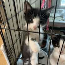 Thumbnail photo of Michael #4
