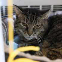 Thumbnail photo of Quinn #2