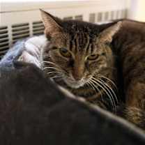 Thumbnail photo of Quinn #4
