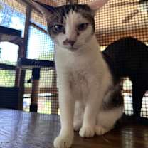 Thumbnail photo of Endora #2