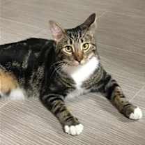 Thumbnail photo of Lucky LENNY! #3