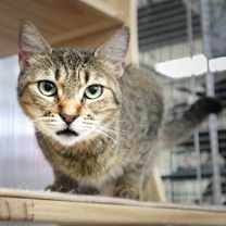 Thumbnail photo of NOOR #1