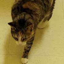 Thumbnail photo of Sophie #2