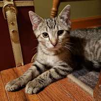 Thumbnail photo of Wesley #2