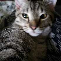 Thumbnail photo of Wesley #3