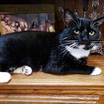 Thumbnail photo of Hudson #1