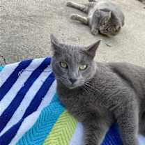 Thumbnail photo of Vivian #1