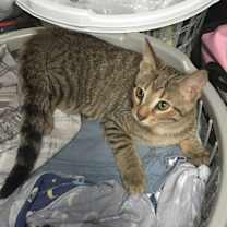 Thumbnail photo of Peaches #4