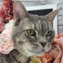 Thumbnail photo of Miranda #1