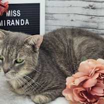 Thumbnail photo of Miranda #3