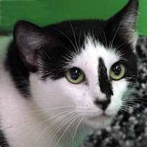 Thumbnail photo of Nadia #1