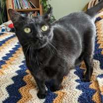 Thumbnail photo of Moxi #1