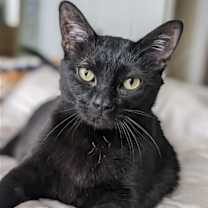 Thumbnail photo of Moxi #2