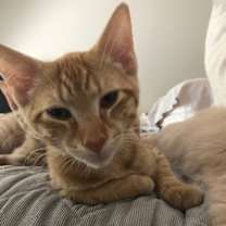Thumbnail photo of Carl #1