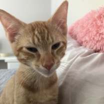 Thumbnail photo of Carl #4