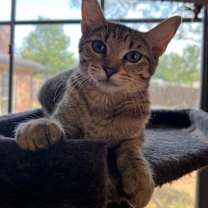 Thumbnail photo of Tabitha S #2
