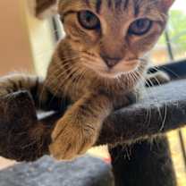 Thumbnail photo of Tabitha S #3