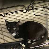 Thumbnail photo of Samantha #1