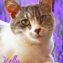 Thumbnail photo of Kelly #1