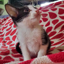 Thumbnail photo of Caoimhe #2