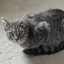 Thumbnail photo of Mirabel #3