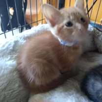 Thumbnail photo of Blu #3