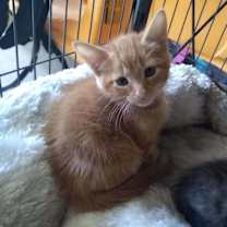 Thumbnail photo of Blu #4