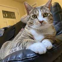 Thumbnail photo of mimi #1