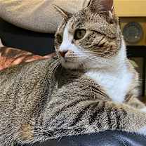 Thumbnail photo of mimi #2