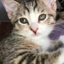 Thumbnail photo of mimi #4