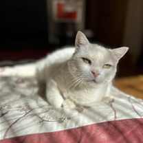 Thumbnail photo of Jenny #1
