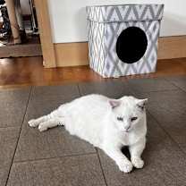 Thumbnail photo of Jenny #2