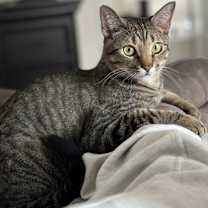 Thumbnail photo of Simba Lloyd #1