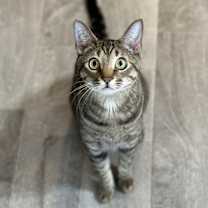 Thumbnail photo of Simba Lloyd #2