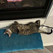 Thumbnail photo of Simba Lloyd #3