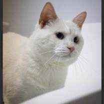 Thumbnail photo of Lucky #1