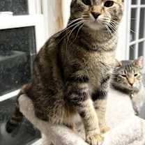 Thumbnail photo of Nikita #1