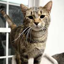 Thumbnail photo of Nikita #2