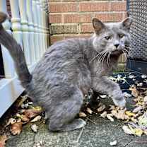 Thumbnail photo of Charlie #1