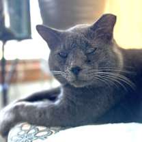Thumbnail photo of Charlie #2
