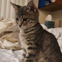 Thumbnail photo of Oscar #1