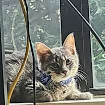 Thumbnail photo of Oscar #3