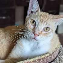 Thumbnail photo of Charlie #1