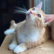 Thumbnail photo of Charlie #3