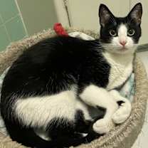 Thumbnail photo of Coco Leche #4
